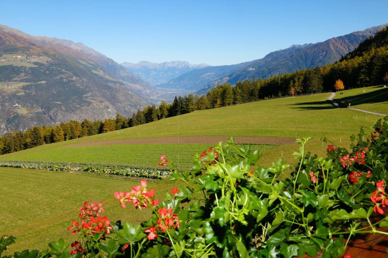 Villa Bauernhof Mairing Silandro Esterno foto